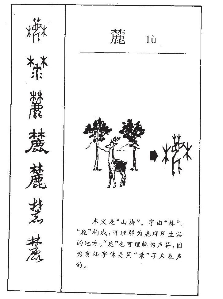 麓字五行属什么